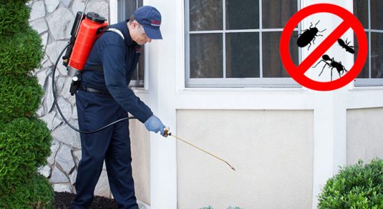 Talas Dezenfeksiyon böcek ilaçlama ve haşere kontrolü — ilaclama-tr.com
